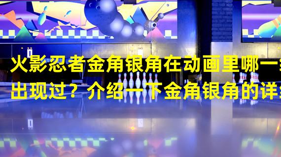 火影忍者金角银角在动画里哪一级出现过？介绍一下金角银角的详细信息，谢谢了！