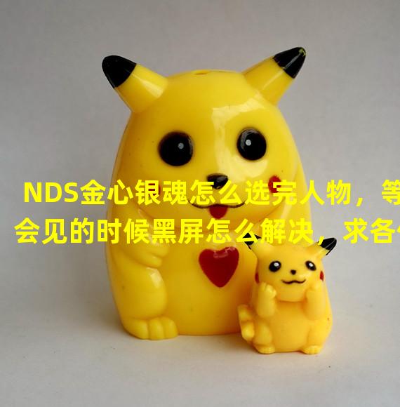 NDS金心银魂怎么选完人物，等会见的时候黑屏怎么解决，求各位大师帮忙