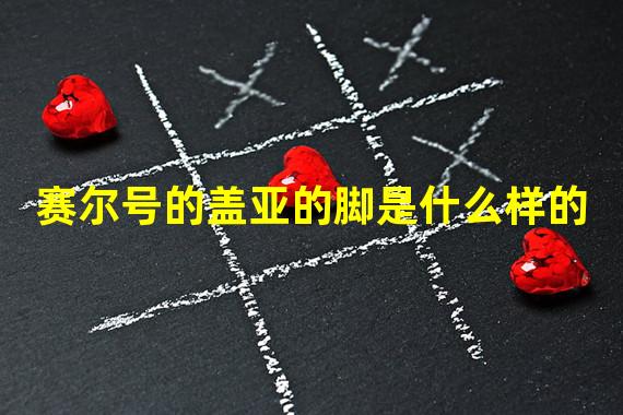 赛尔号的盖亚的脚是什么样的