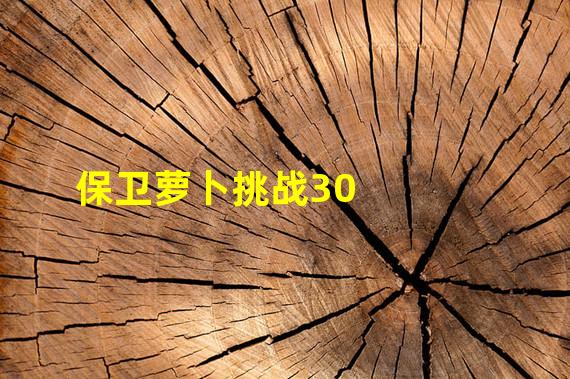 保卫萝卜挑战30