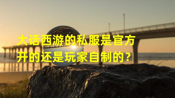 大话西游的私服是官方开的还是玩家自制的？