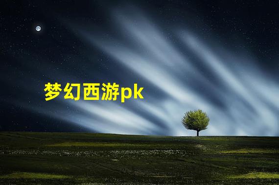 梦幻西游pk