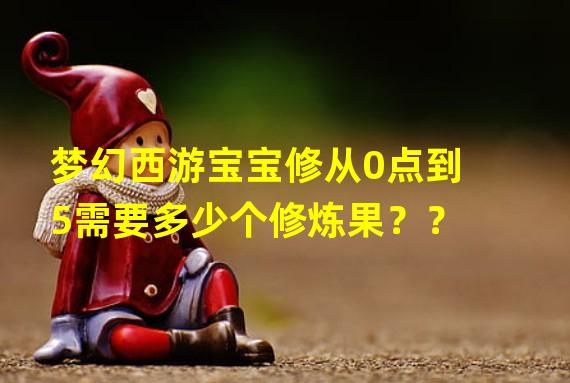 梦幻西游宝宝修从0点到5需要多少个修炼果？？