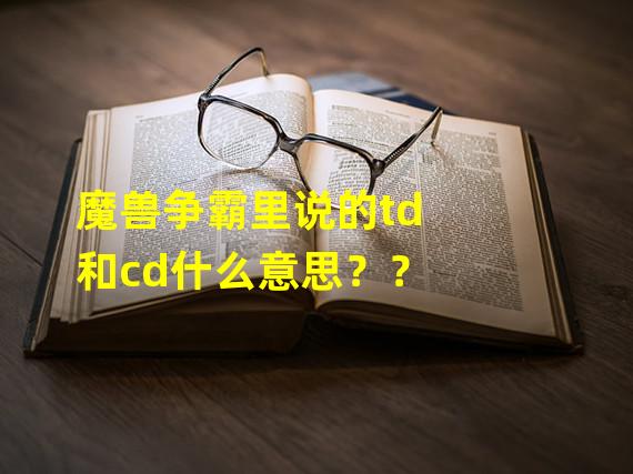 魔兽争霸里说的td和cd什么意思？？