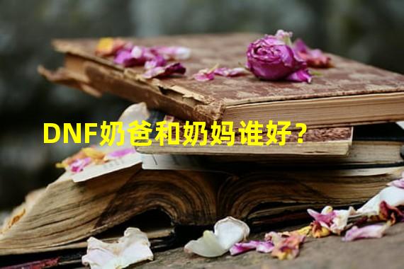 DNF奶爸和奶妈谁好？