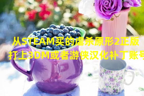 从STEAM买的虐杀原形2正版打上3DM或者游侠汉化补丁账号会不会被Ban？