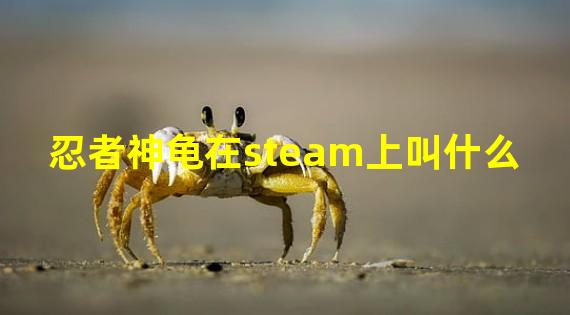 忍者神龟在steam上叫什么