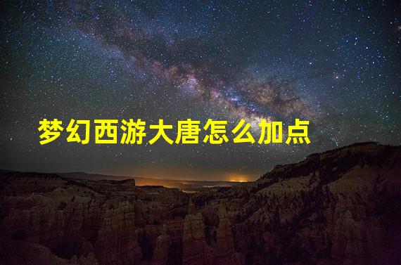 梦幻西游大唐怎么加点