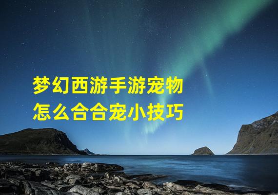 梦幻西游手游宠物怎么合合宠小技巧