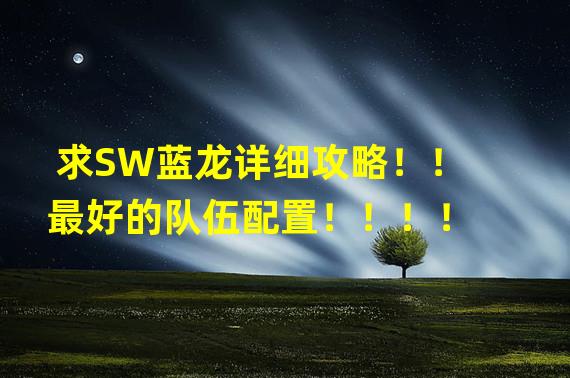 求SW蓝龙详细攻略！！最好的队伍配置！！！！