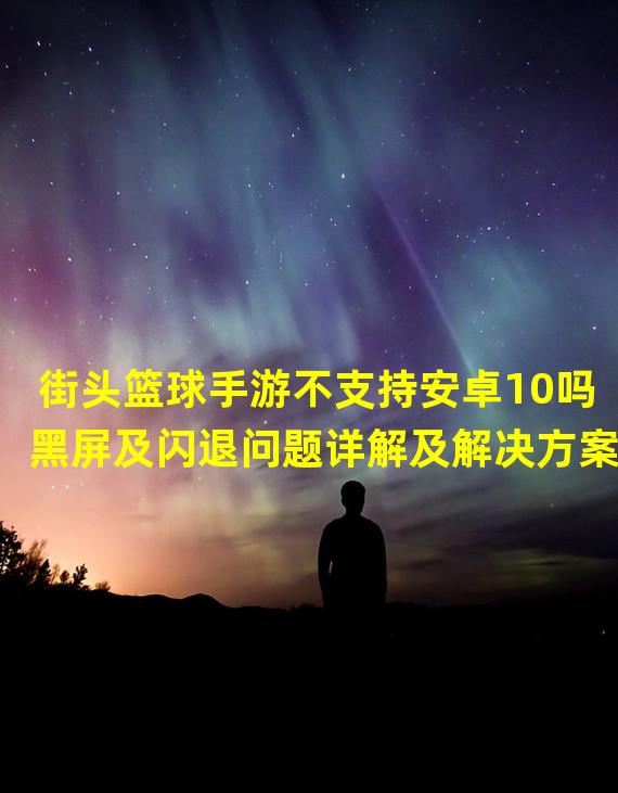 街头篮球手游不支持安卓10吗黑屏及闪退问题详解及解决方案