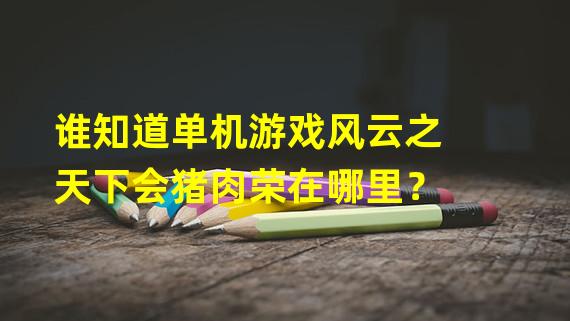 谁知道单机游戏风云之天下会猪肉荣在哪里？