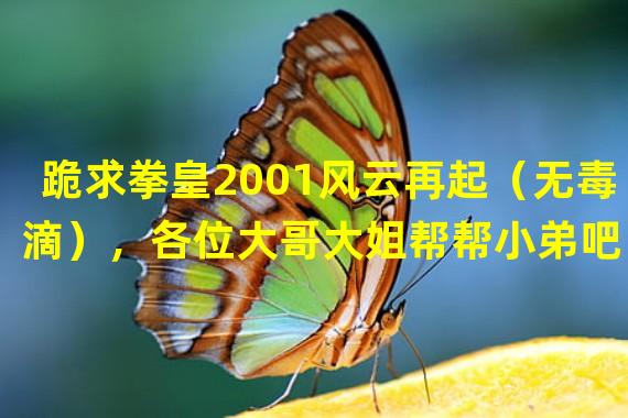 跪求拳皇2001风云再起（无毒滴），各位大哥大姐帮帮小弟吧！