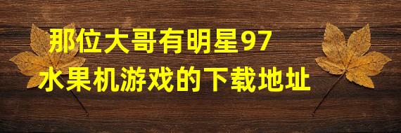 那位大哥有明星97水果机游戏的下载地址