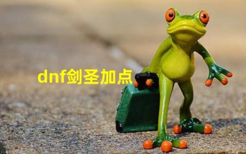 DNF剑圣加点，求详细(dnf剑圣加点)