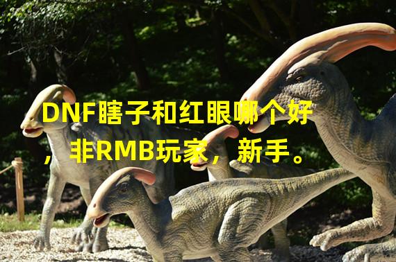 DNF瞎子和红眼哪个好，非RMB玩家，新手。