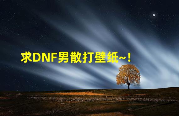 求DNF男散打壁纸~！