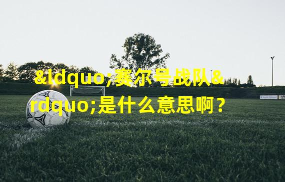 “赛尔号战队”是什么意思啊？