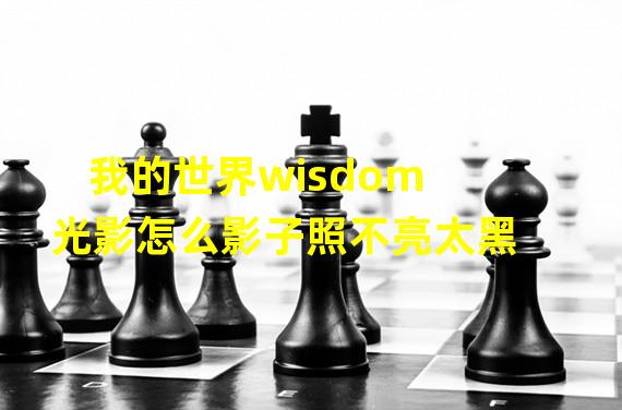 我的世界wisdom光影怎么影子照不亮太黑