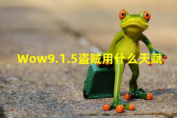 Wow9.1.5盗贼用什么天赋