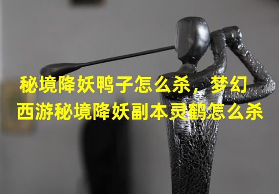 秘境降妖鸭子怎么杀，梦幻西游秘境降妖副本灵鹤怎么杀