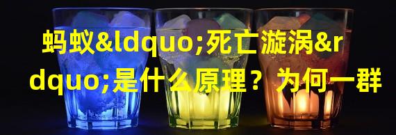 蚂蚁“死亡漩涡”是什么原理？为何一群蚂蚁会疯狂转圈？