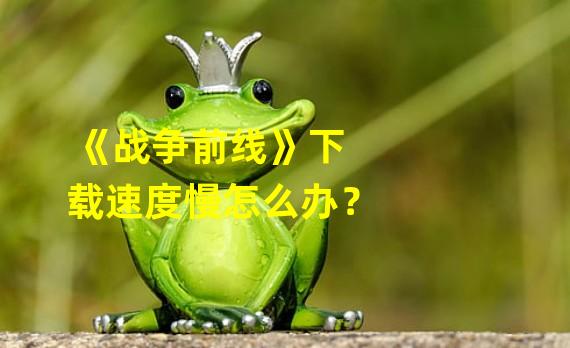 《战争前线》下载速度慢怎么办？