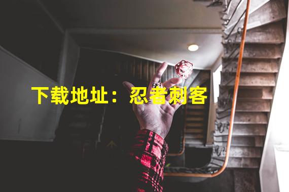 下载地址：忍者刺客