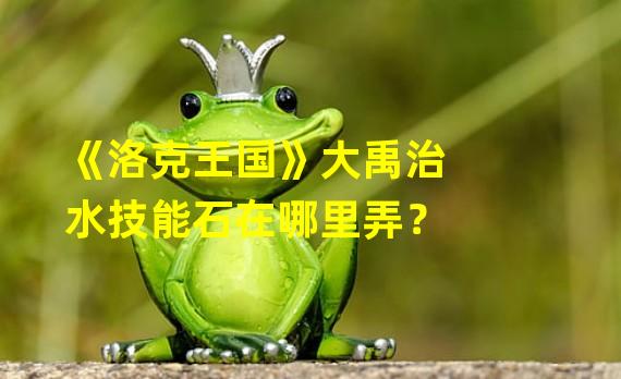 《洛克王国》大禹治水技能石在哪里弄？