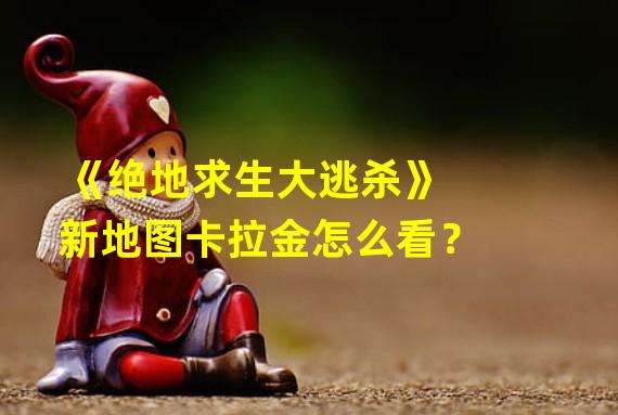 《绝地求生大逃杀》新地图卡拉金怎么看？