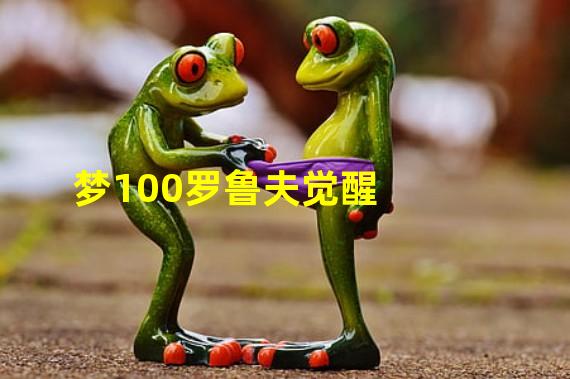 梦100罗鲁夫觉醒