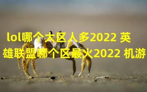 2021英雄联盟那个区人多(lol哪个大区人多2022 英雄联盟哪个区最火2022 机游 )