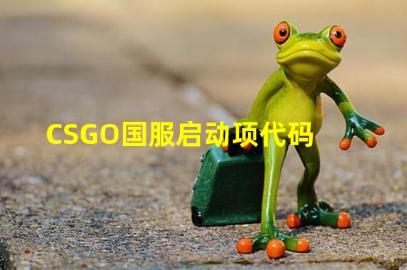 CSGO国服启动项代码