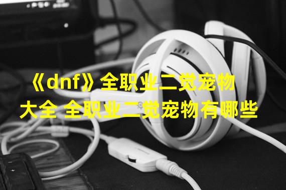 《dnf》全职业二觉宠物大全 全职业二觉宠物有哪些  