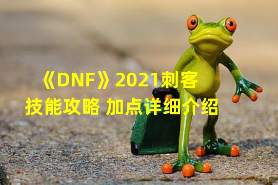 《DNF》2021刺客技能攻略 加点详细介绍  