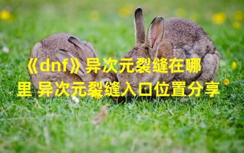 dnf异次元裂缝任务在哪(《dnf》异次元裂缝在哪里 异次元裂缝入口位置分享  )