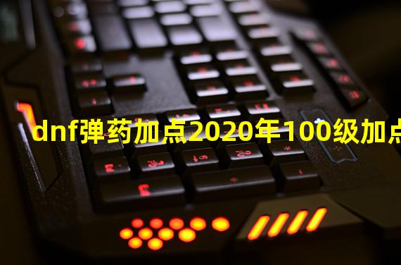 dnf弹药加点2020年100级加点