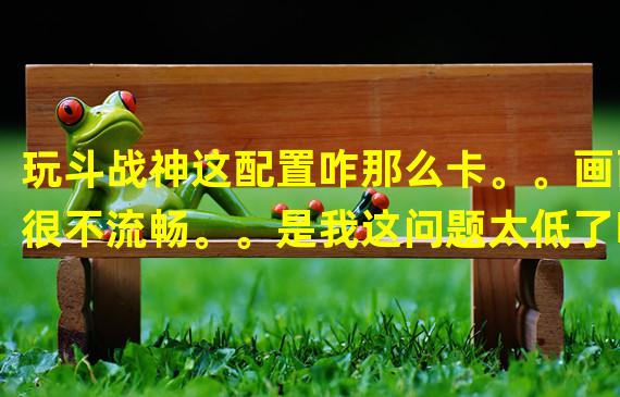 玩斗战神这配置咋那么卡。。画面很不流畅。。是我这问题太低了吗？还是别的原因？