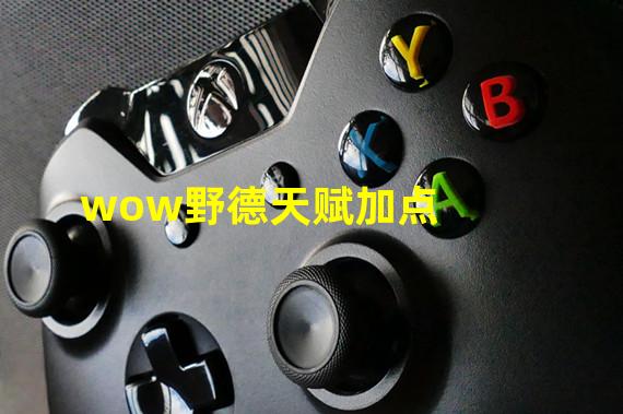 wow野德天赋加点