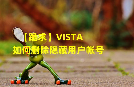 【跪求】VISTA如何删除隐藏用户帐号