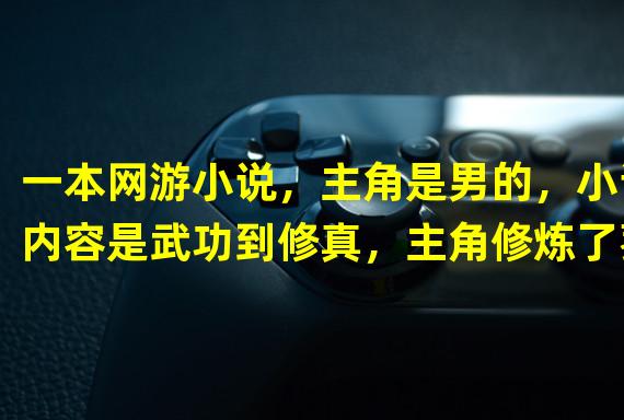 一本网游小说，主角是男的，小说内容是武功到修真，主角修炼了葵花宝典还有九阳神功等武功