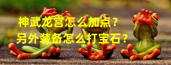 神武龙宫怎么加点？另外装备怎么打宝石？