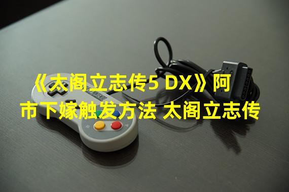 《太阁立志传5 DX》阿市下嫁触发方法 太阁立志传 