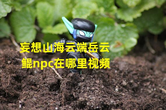 妄想山海云端岳云鲲npc在哪里视频