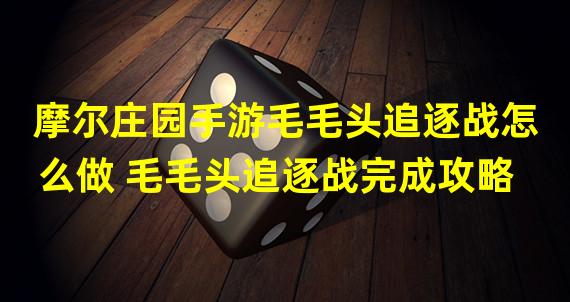 摩尔庄园手游毛毛头追逐战怎么做 毛毛头追逐战完成攻略