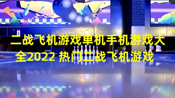 二战飞机游戏单机手机游戏大全2022 热门二战飞机游戏