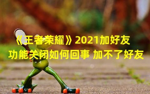 王者荣耀禁止加好友怎么解除2021(《王者荣耀》2021加好友功能关闭如何回事 加不了好友)