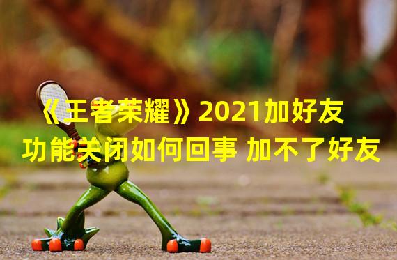 《王者荣耀》2021加好友功能关闭如何回事 加不了好友