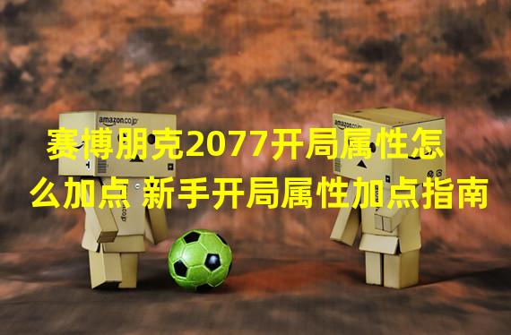 赛博朋克2077开局属性怎么加点 新手开局属性加点指南