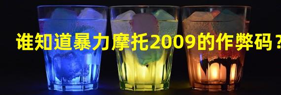 谁知道暴力摩托2009的作弊码？